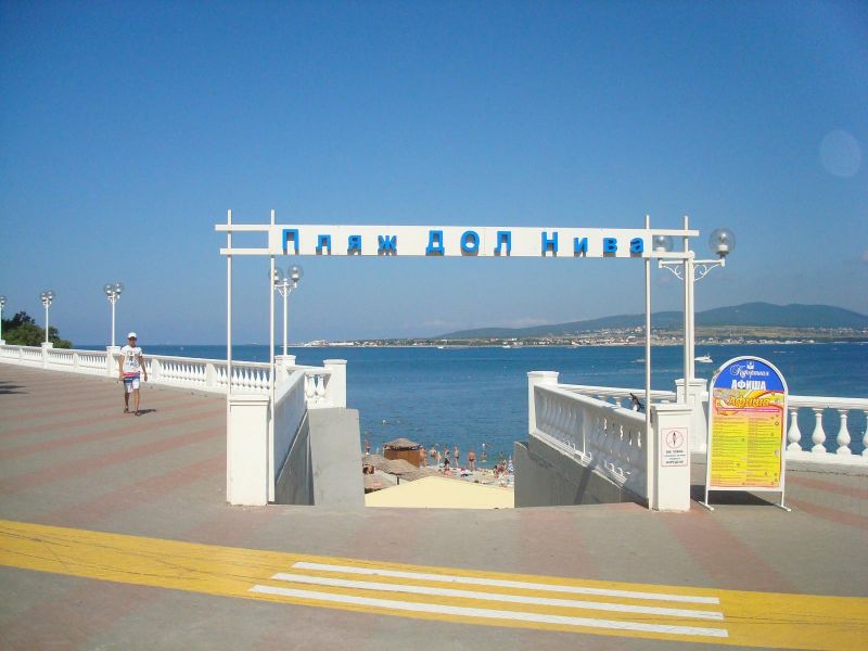 Детский оздоровительный лагерь "Нива"